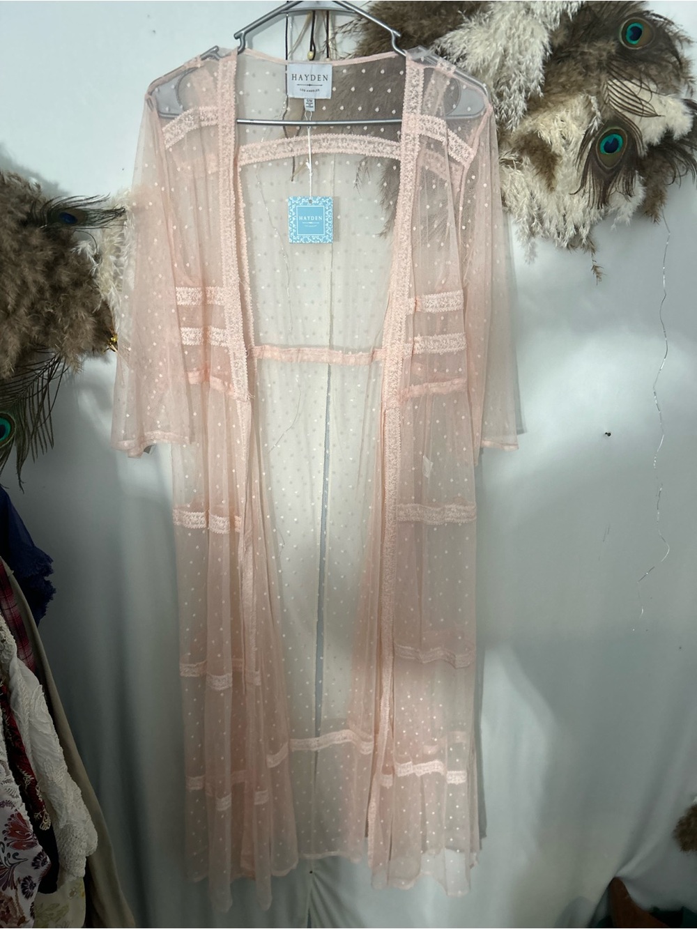 Hayden Sheer Dot Lace-Trim Long Robe in Blush